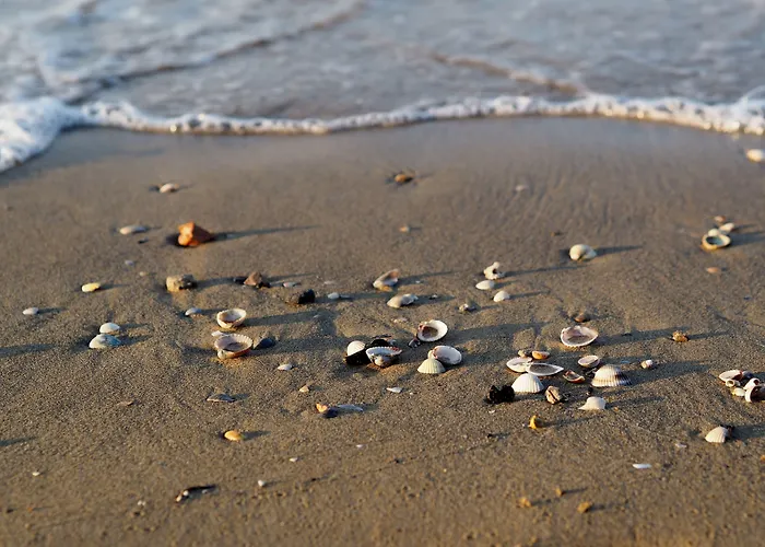 Bright Sea Front With Terrace-beahost Lägenhet Bibione
