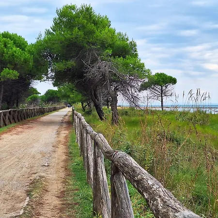 Bright Sea Front With Terrace-beahost Bibione
